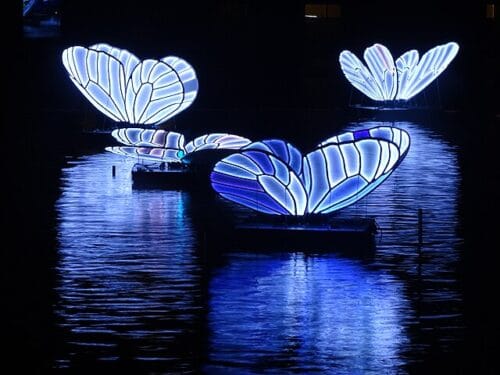 Butterflies on the canals: Amsterdam light festival