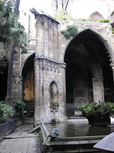 Garden of the Barcelona Cathedral