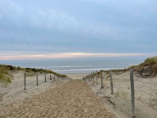From the dunes to the beach