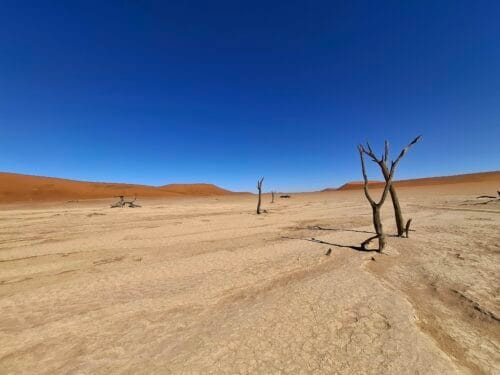 Deadvlei - Namibia